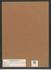 Coscinodiscus humilis Castrac. (de-Toni-Nr.: Genus 202, Species 5203) Zeichnungen Sammlung Grunow Mappe 04924 (Herbarium_W_Grunow_drawings_Folder_04924)